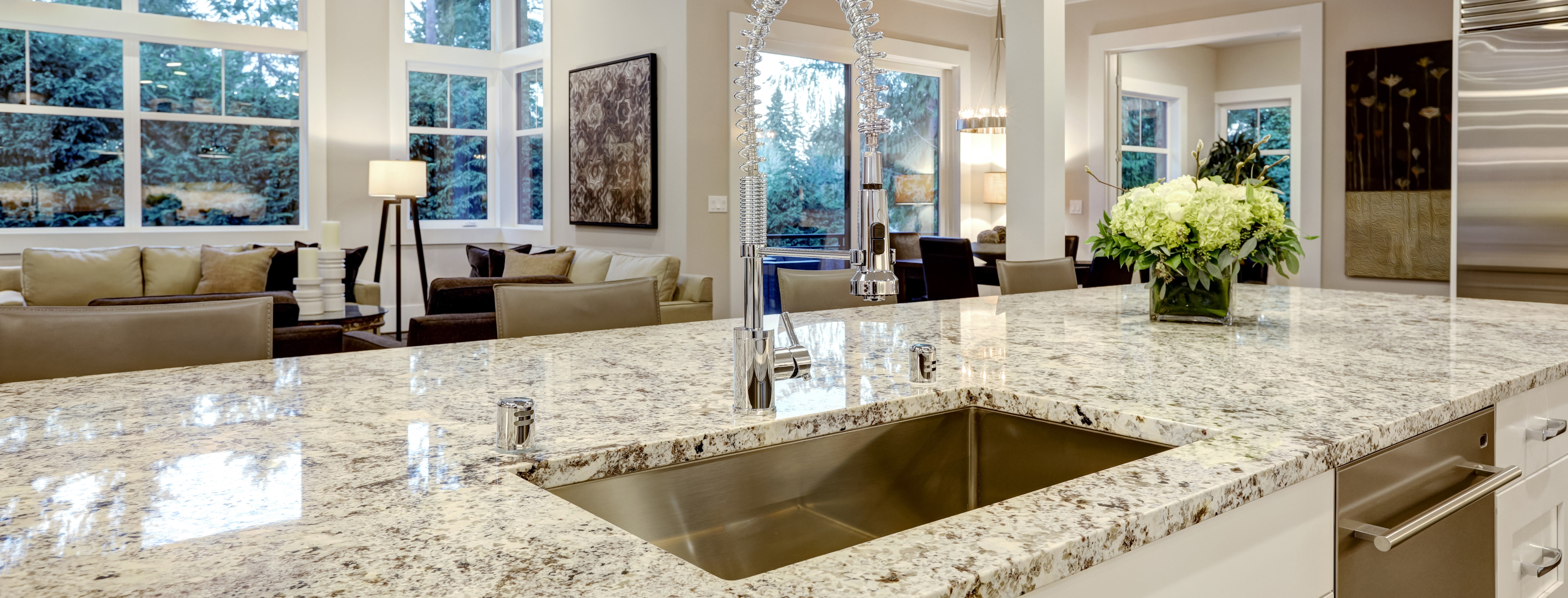 Granite countertop